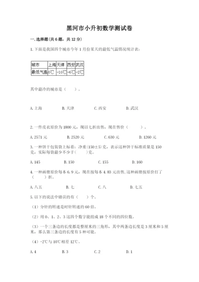黑河市小升初数学测试卷精品.docx