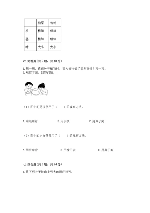 教科版科学一年级上册第一单元《植物》测试卷精品（典优）.docx