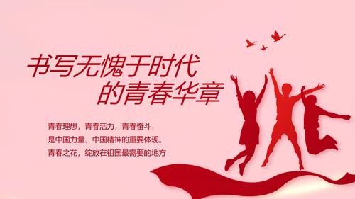 红色党支部党员代表大会工作总结PPT