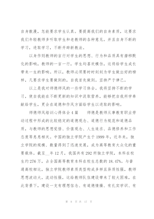师德师风培训心得体会6篇.docx