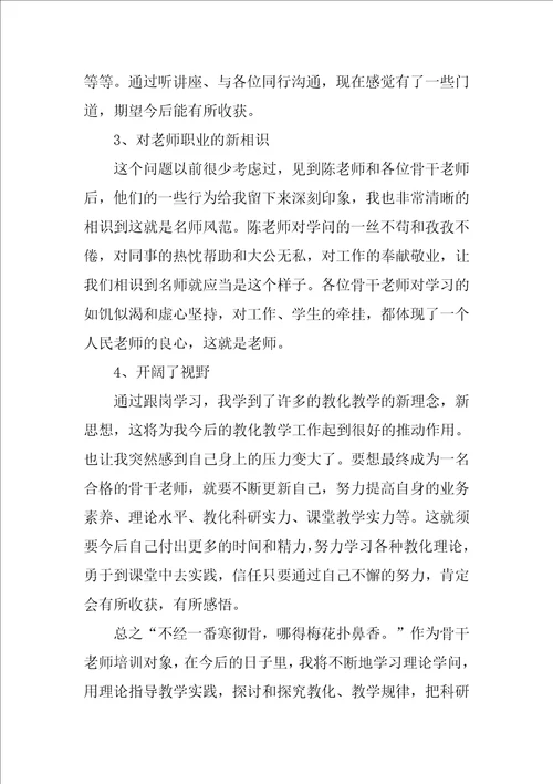 骨干教师跟岗培训学习总结