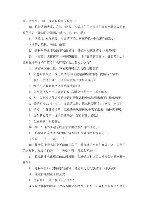 有关鸟的天堂教案三篇.docx