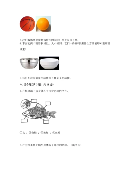 教科版一年级下册科学期末测试卷含下载答案.docx
