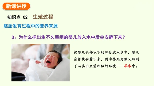 4.1.1人的生殖-七年级生物下学期同步精品课件（2024人教版）(共24张PPT)