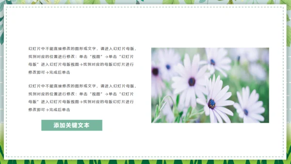 野菊花清新小雏菊通用PPT模版