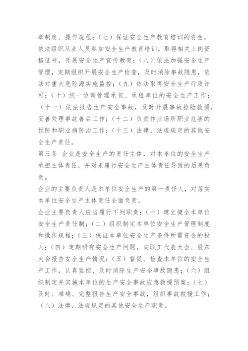 主体安全责任管理制度.docx