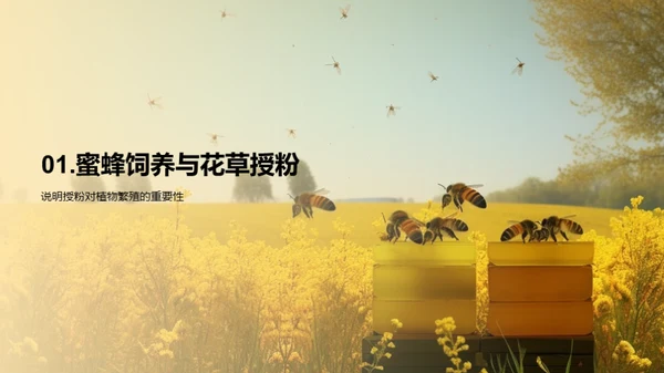 蜜蜂饲养：生态共赢