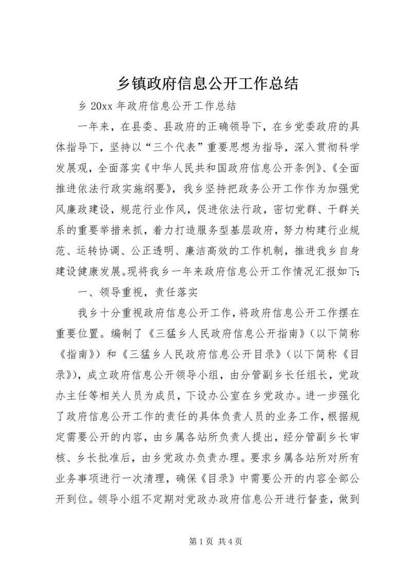 乡镇政府信息公开工作总结_1.docx