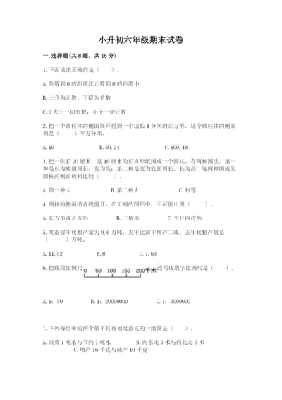 小升初六年级期末试卷（全优）.docx