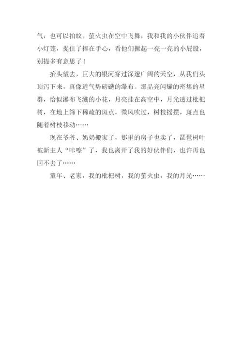 在老家的那段日子作文700字.docx