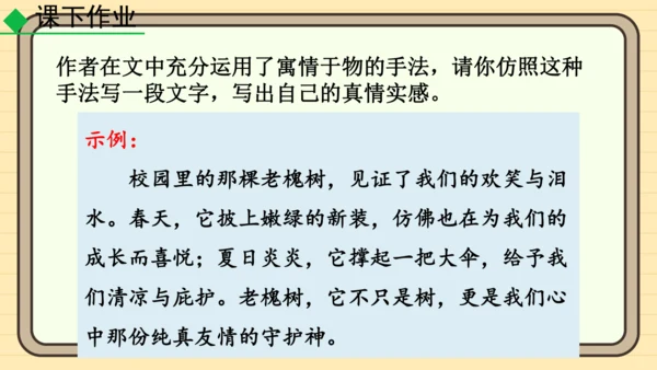 20 井冈翠竹 课件