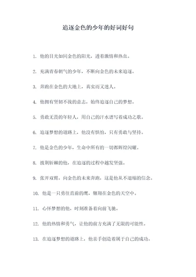 追逐金色的少年的好词好句