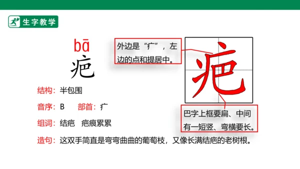 13 人物描写一组 生字动画课件