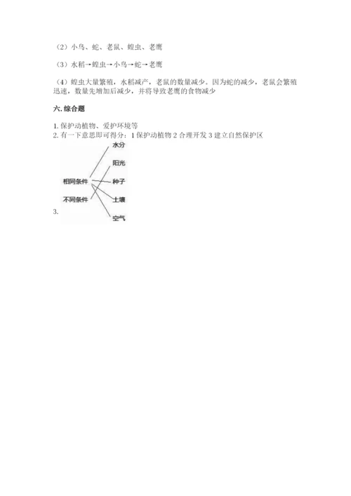 教科版五年级下册科学第一单元《生物与环境》测试卷含答案（突破训练）.docx