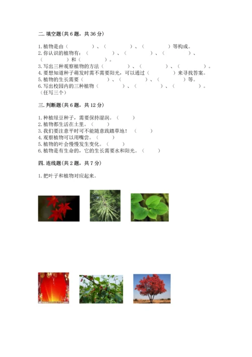 教科版科学一年级上册第一单元《植物》测试卷附答案【综合卷】.docx