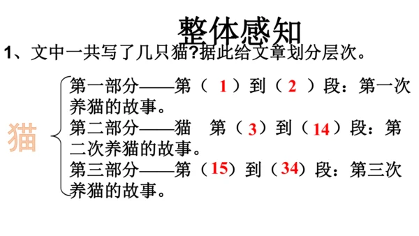 17  猫  课件(共52张PPT)