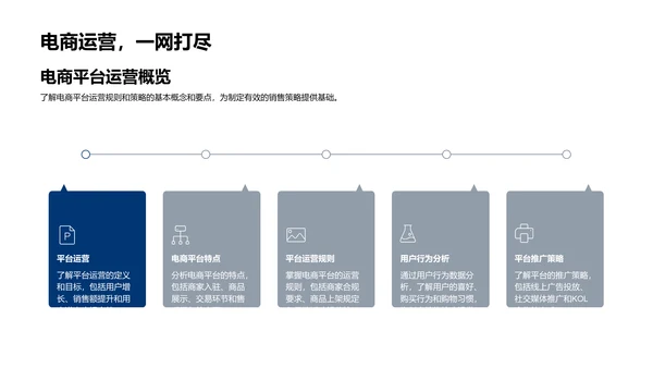 电商营销策略报告