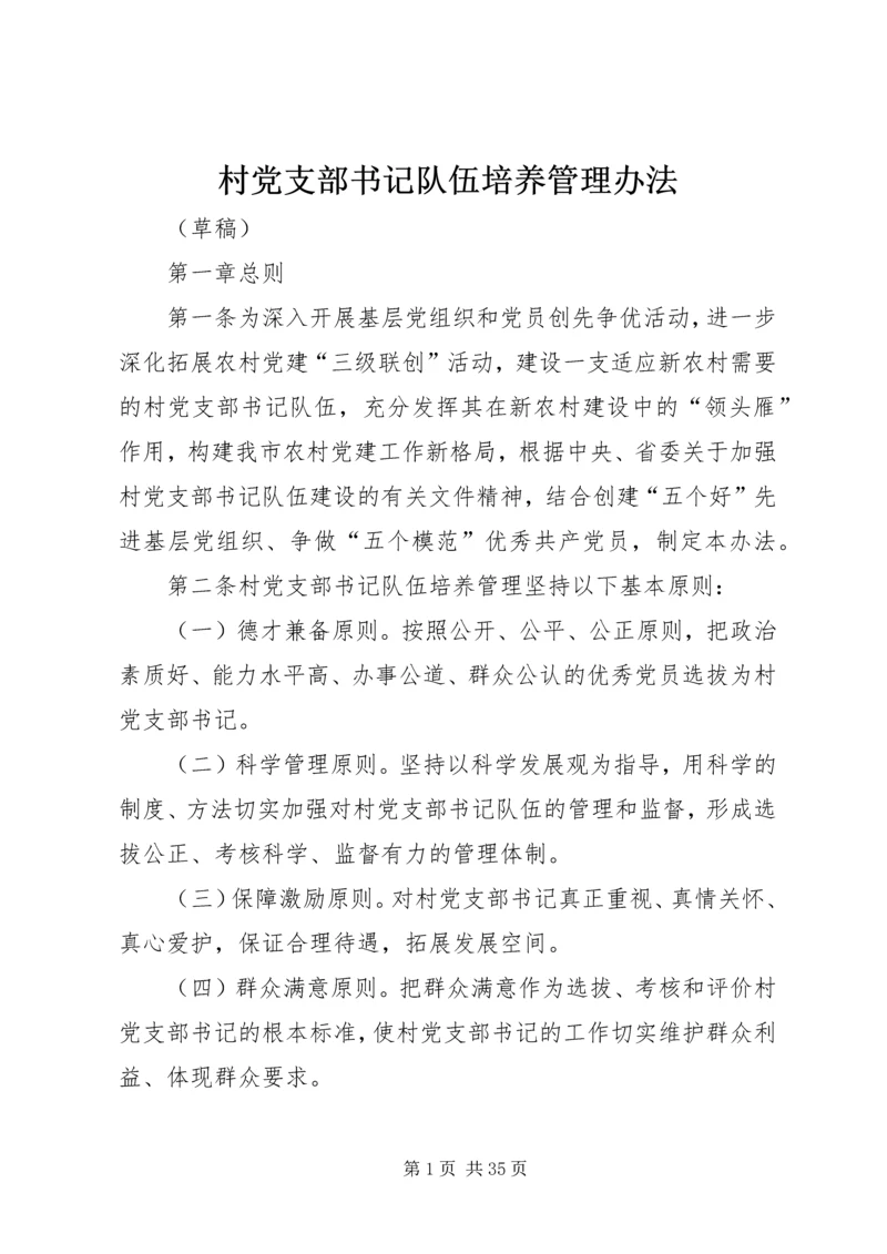 村党支部书记队伍培养管理办法.docx