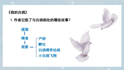 七年级语文上册第五单元  人与动物（大单元教学） 课件(51张PPT)