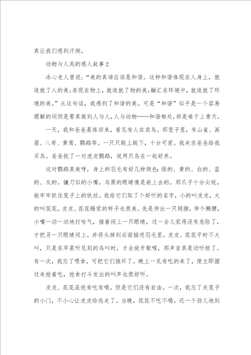 动物与人类的感人故事小学生