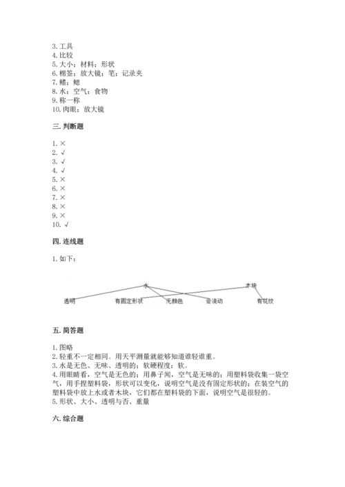 教科版一年级下册科学期末测试卷（夺冠系列）.docx