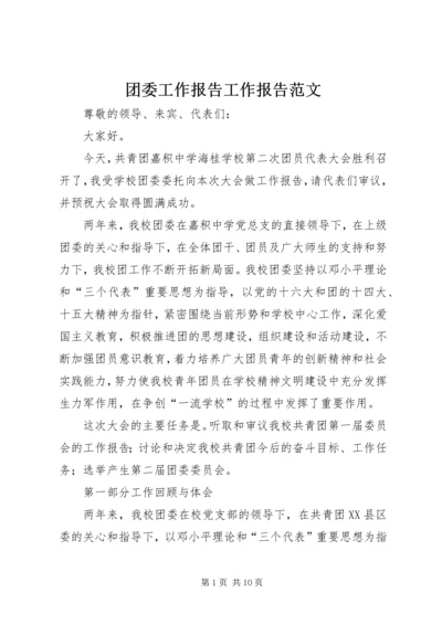 团委工作报告工作报告范文_1.docx