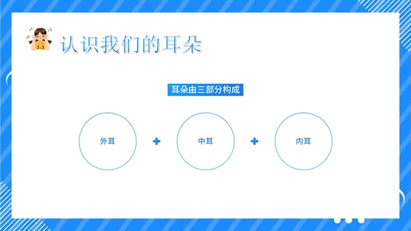 3月3日幼儿园全国爱耳日世界听力日主题班会PPT幼儿园爱耳日