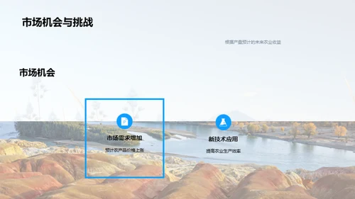 农业收益全面分析