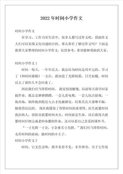 2022年时间小学作文