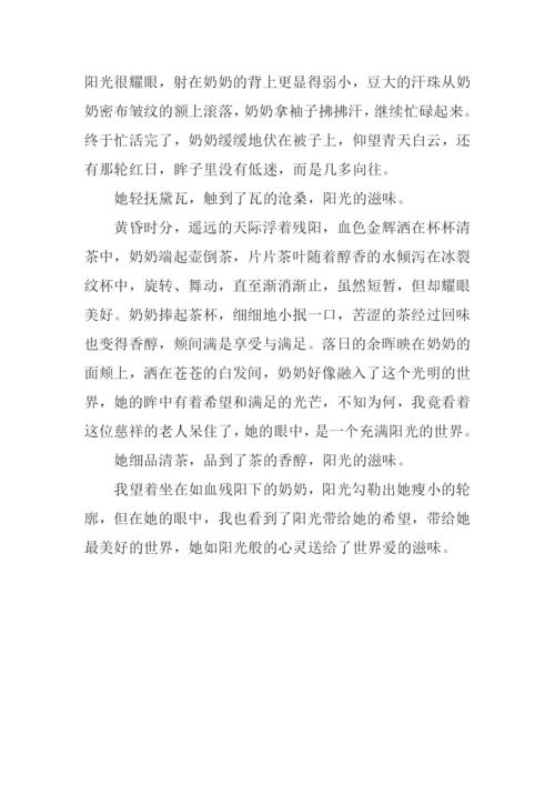 阳光的滋味作文900字.docx