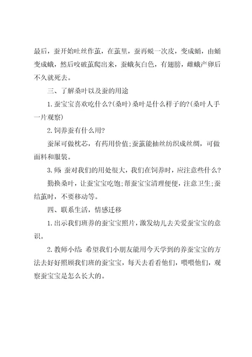 中班科学教案：可爱的蚕宝宝