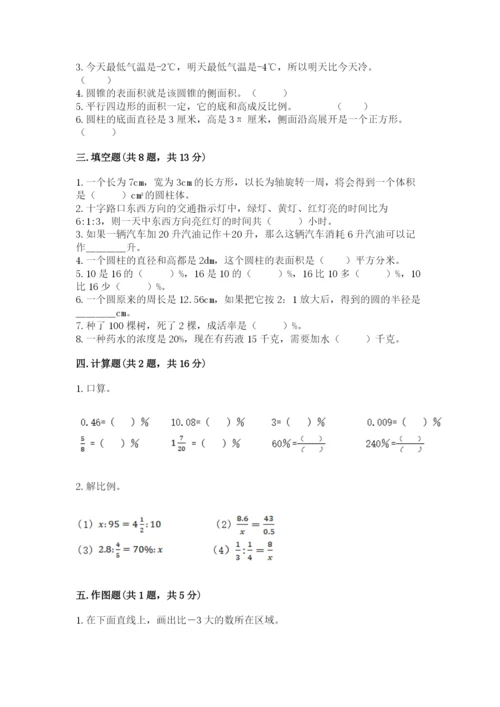 天峻县六年级下册数学期末测试卷（达标题）.docx