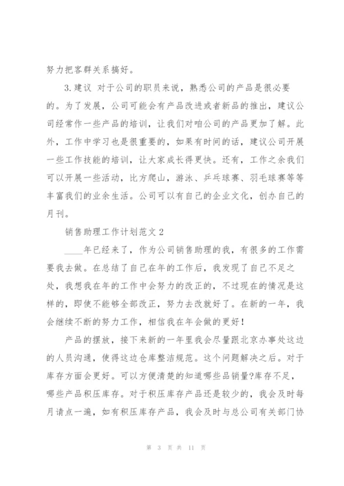 销售助理工作计划范文.docx