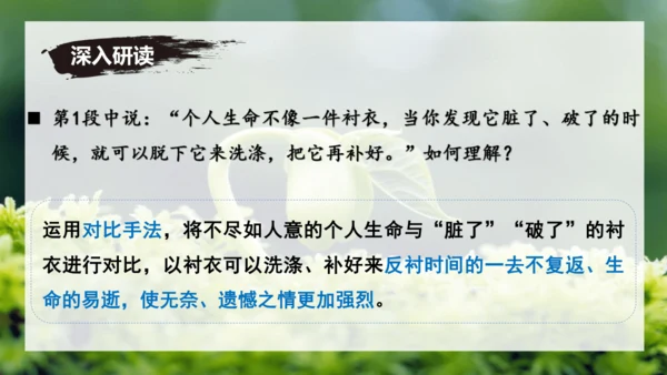 第16课 散文二篇 《永久的生命》课件