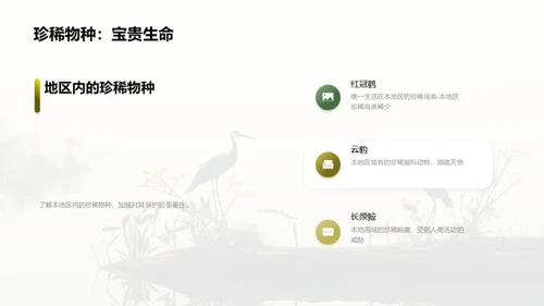 共同关爱地球，保护珍稀物种