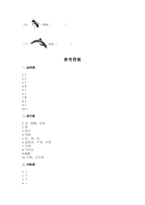 教科版二年级上册科学期末测试卷精品（综合题）.docx