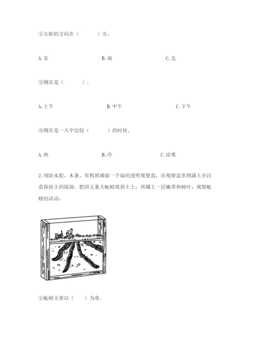 教科版科学二年级上册《期末测试卷》及完整答案【网校专用】.docx