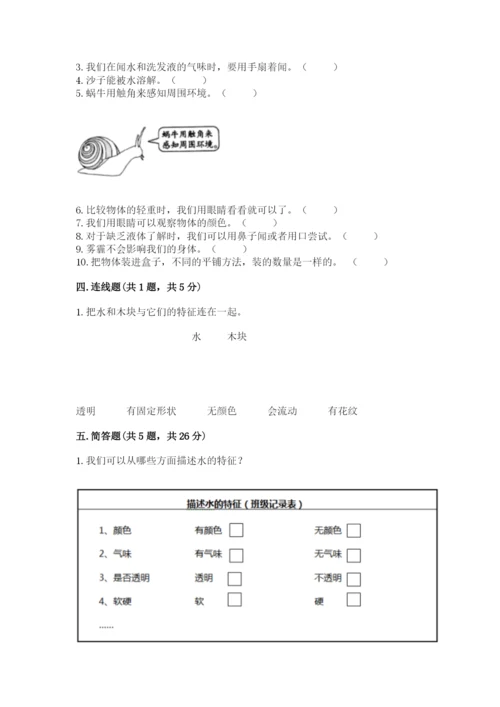 教科版一年级下册科学期末测试卷带答案（巩固）.docx