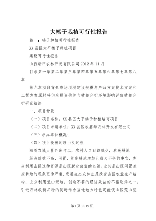 大榛子栽植可行性报告.docx