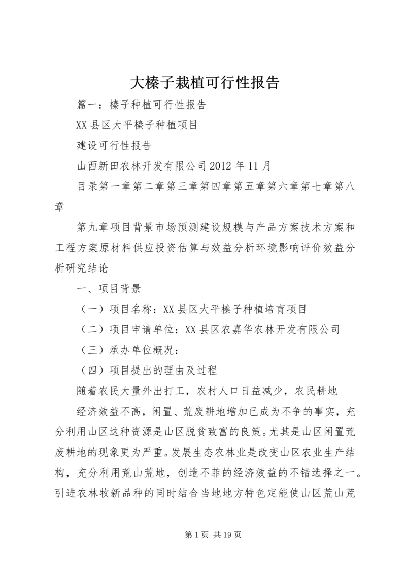 大榛子栽植可行性报告.docx