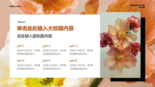 橙色极简香氛品牌通用PPT演示文稿