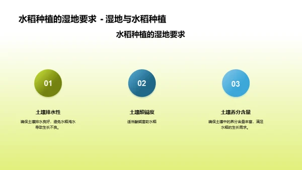 稻谷种植的科技革新