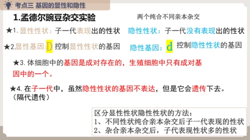 复习专题六生物的遗传与变异（串讲课件）-八年级生物上学期期末考点大串讲（人教版）(共23张PPT)