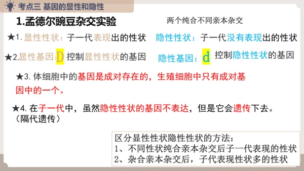 复习专题六生物的遗传与变异（串讲课件）-八年级生物上学期期末考点大串讲（人教版）(共23张PPT)