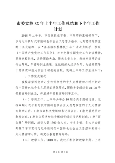 市委党校XX年上半年工作总结和下半年工作计划.docx