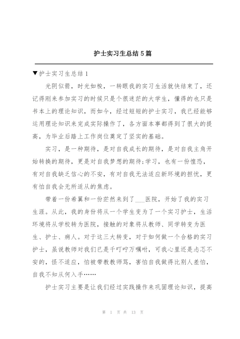 护士实习生总结5篇.docx