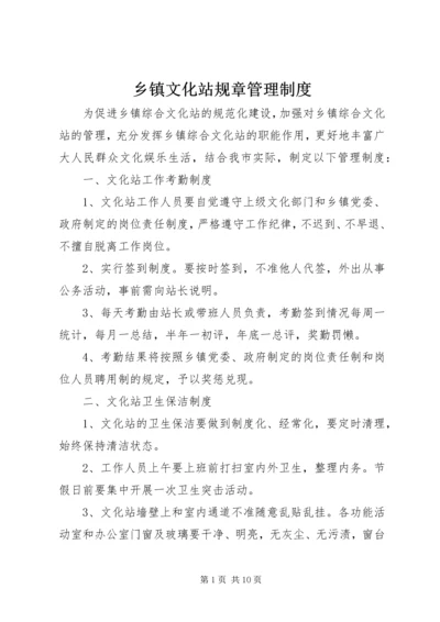 乡镇文化站规章管理制度.docx