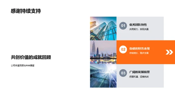 公司年度综述与展望