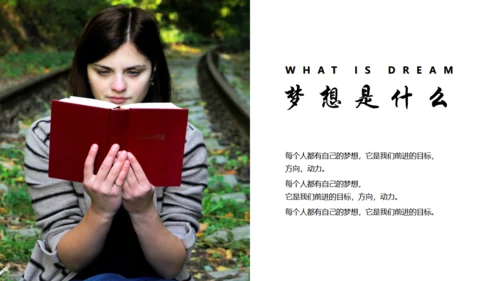 放飞梦想成就未来励志正能量通用PPT模板