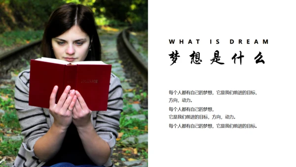 放飞梦想成就未来励志正能量通用PPT模板